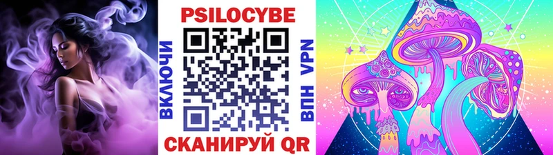 Псилоцибиновые грибы прущие грибы  Купить где  Куровское 
